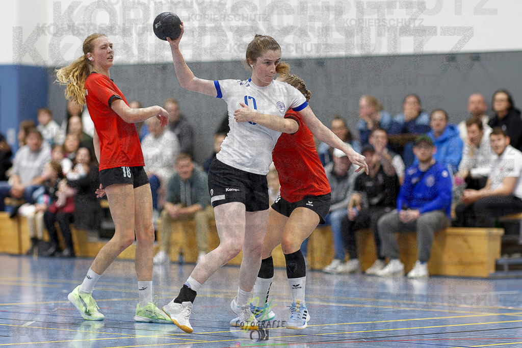 Frauen 2. Bezirksklasse; SG Rechtenbach - HSG Linden II | Frauen 2. Bezirksklasse; SG Rechtenbach - HSG Linden II am 16.11.2025 in Rechtenbach (Sporthalle Rechtenbach)Photo © 2025 - Jörg Heinrich - Realisiert mit Pictrs.com