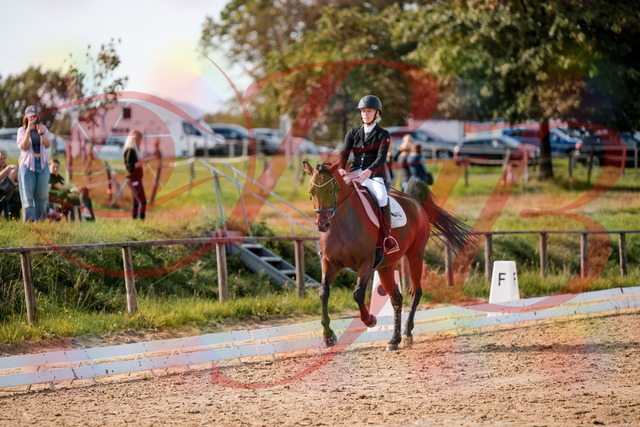 2026_10_03_Siefer-Hof_131046_Z63_74089664 | Professionelle Reitsport-, Turnier- und Eventfotografie von Robert Broda. Galerien mit ausgewählten und bearbeiteten Bildern direkt online ansehen und bestellen.