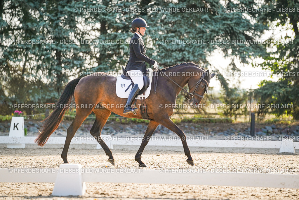 DSC08254 | Pferdegrafie