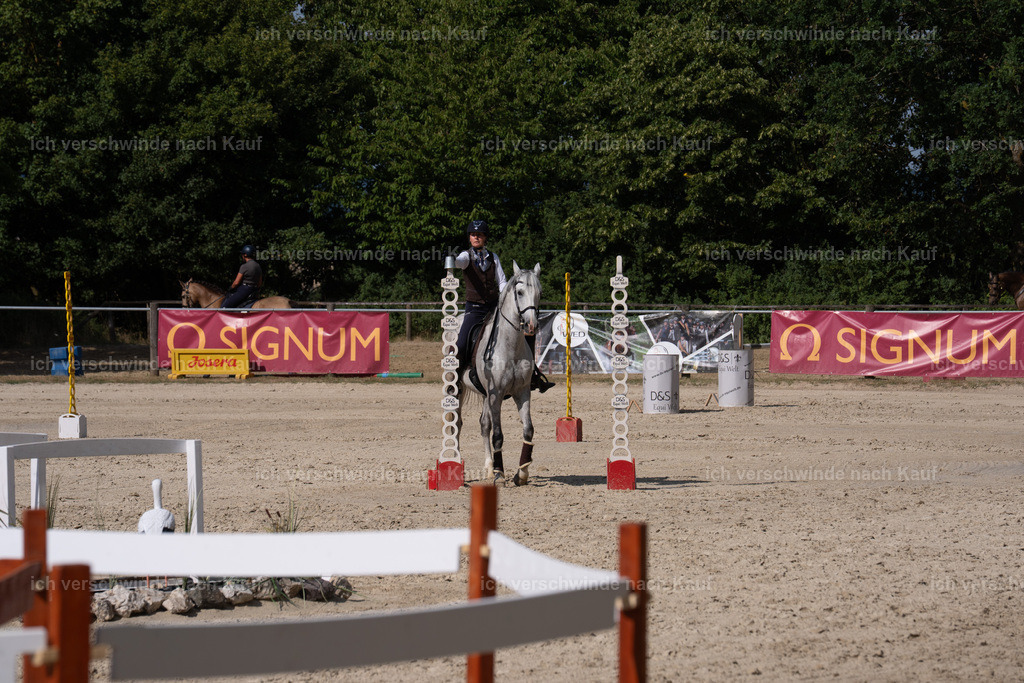 WS_SP_139_SinaFilmArt_IN08669 | working equitationturnier fotograf videograf stoibphotography marixx film working equitation deutschland reitsport turnierfotografie eventfotografie equestrian events