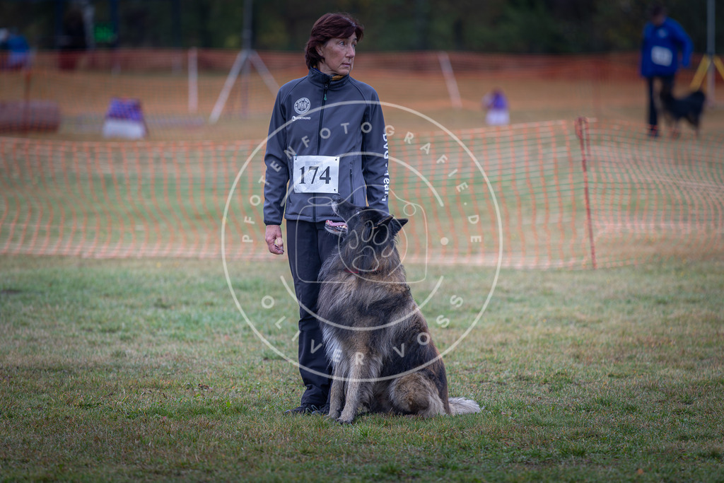 Pfotenfotografie_DV3A9253 | Hundefotografie, Tierfotograf, Pfotenfotografie, Fotoshooting Hund, Hunde Portrait, Hundesport, Hundeportraits, Heideshooting, Hunde, Sportfotograf, Hundefotograf, Turnierhundsport, THS,  - Realisiert mit Pictrs.com