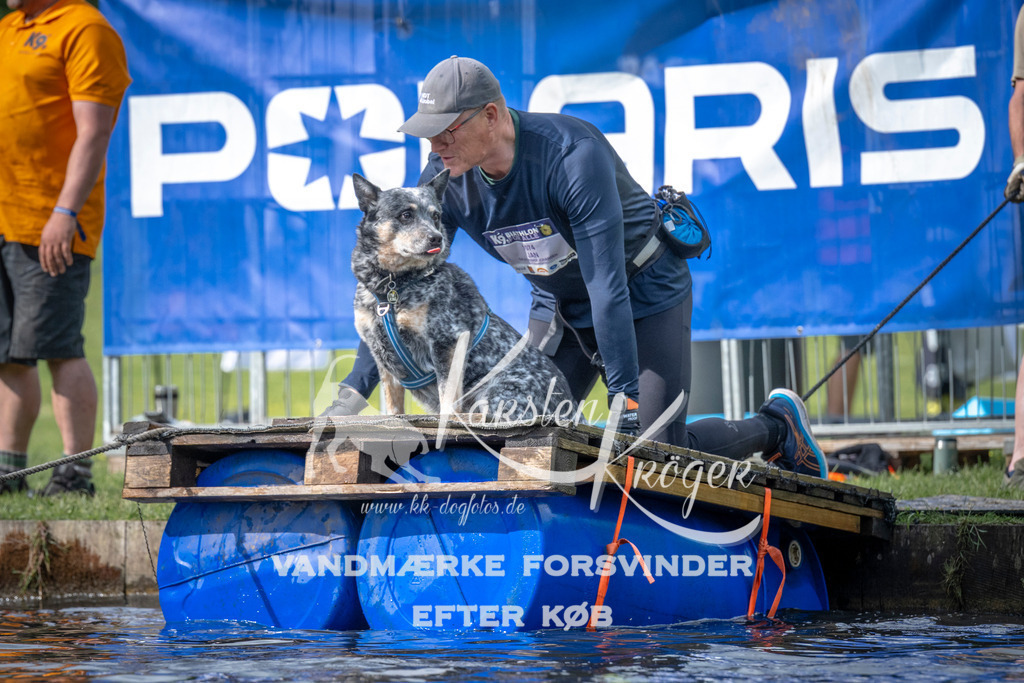0839_ZZ99982 | kk-dogfotos
