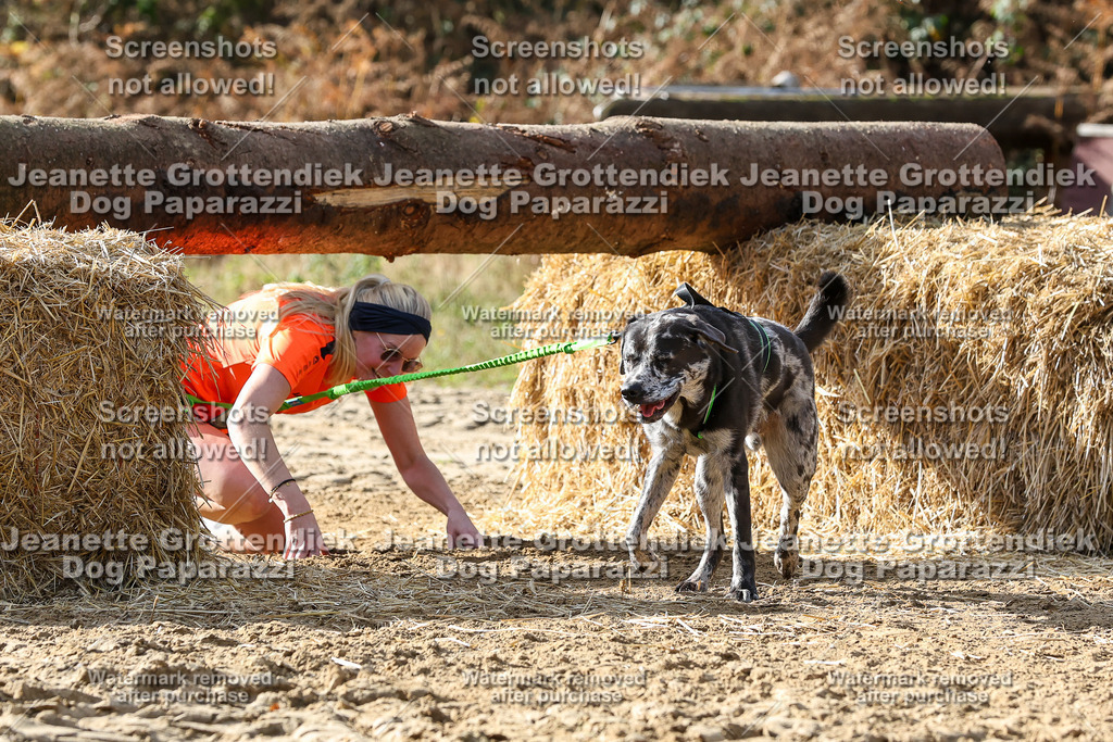 Dog Paparazzi - Strongdog 10-25-5740 | Dog Paparazzi Jeanette Grottendiek Fotografie & Videografie - Realisiert mit Pictrs.com