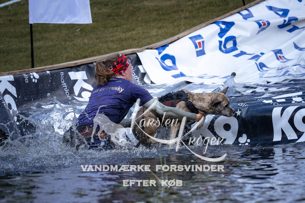 _ZZ928500934 | kk-dogfotos