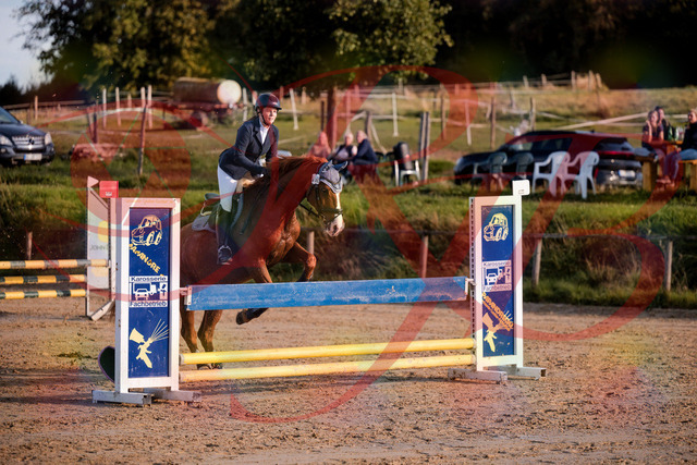 2026_10_03_Siefer-Hof_171252_Z81_10198158 | Professionelle Reitsport-, Turnier- und Eventfotografie von Robert Broda. Galerien mit ausgewählten und bearbeiteten Bildern direkt online ansehen und bestellen.