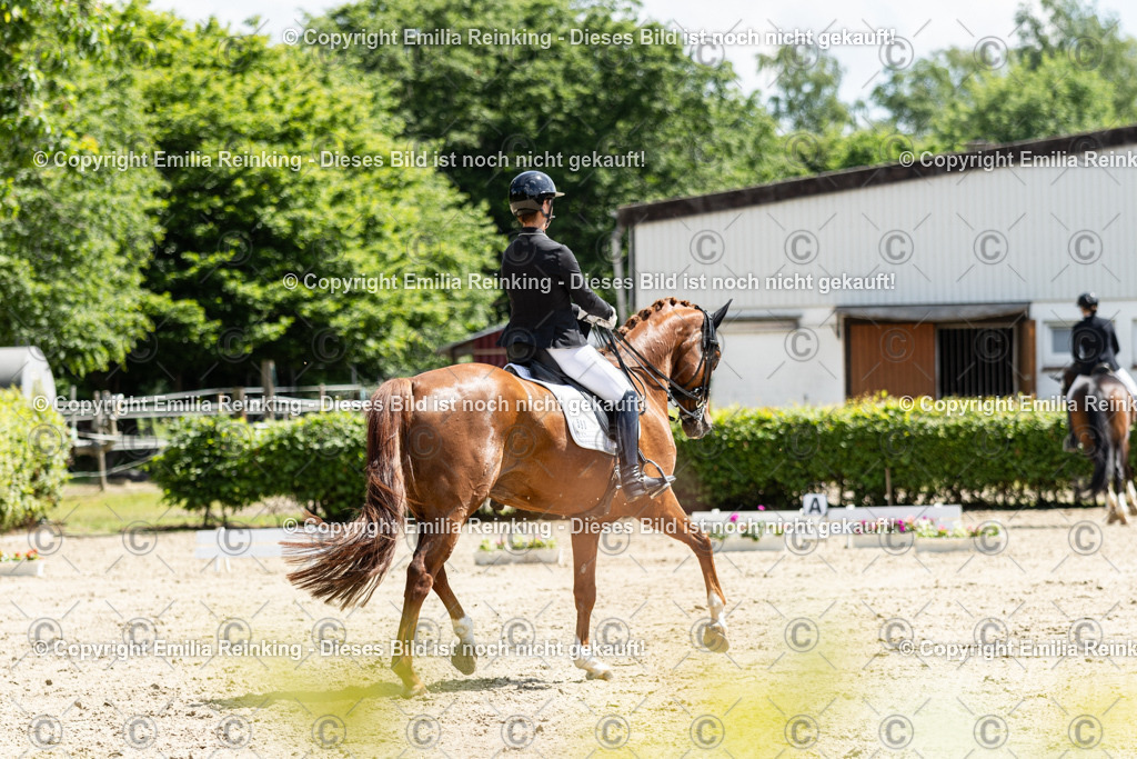 CL5A8412 | Emilia Reinking Fotografie - Realisiert mit Pictrs.com