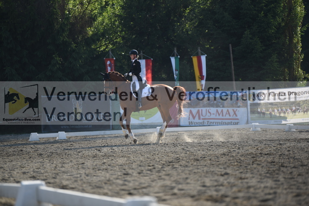 DSC_3212 | equestrian-live-com