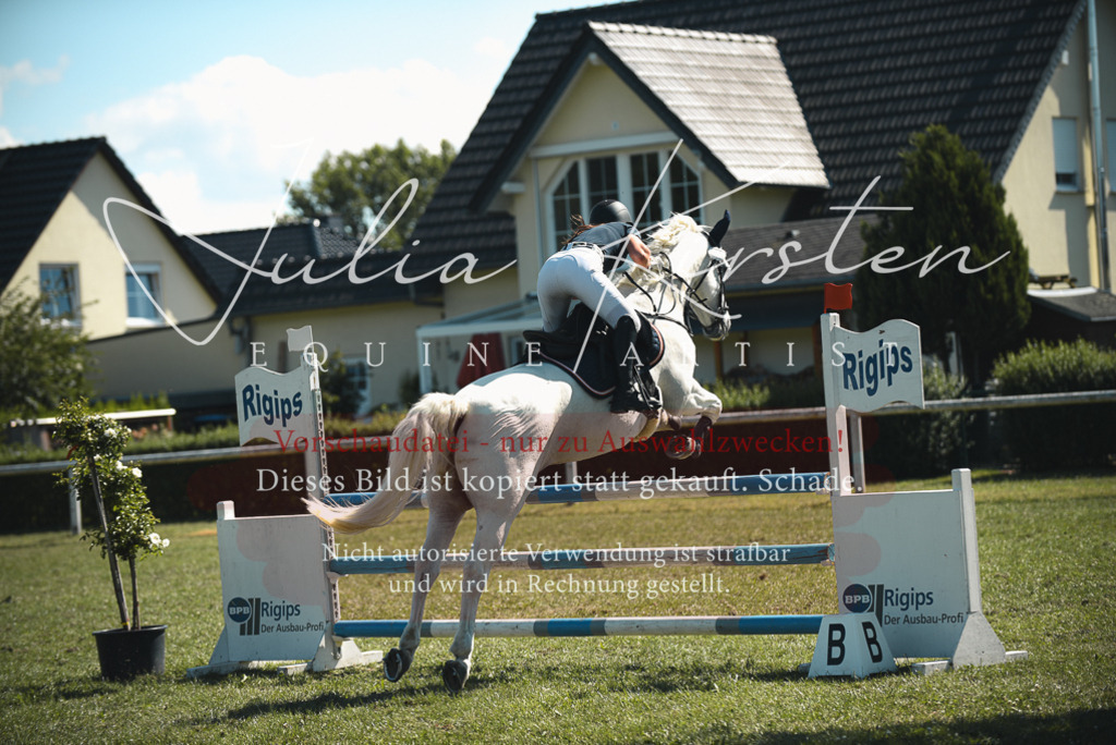 DSC_7268 | Pferde- und Turnierfotografie in Westsachsen. Pferdeportraits, Auftragszeichnungen und intuitive Kunst.