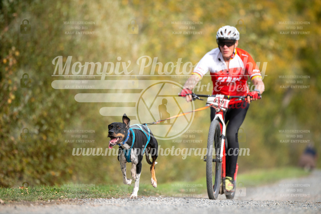 TSB_2023_E2_DS1-19 | PayLife