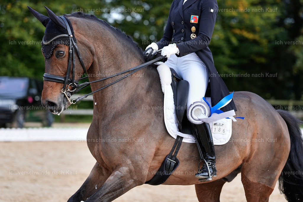 13-Siegerehrung-S___ -StoibPH-6906 | working equitationturnier fotograf videograf stoibphotography marixx film working equitation deutschland reitsport turnierfotografie eventfotografie equestrian events