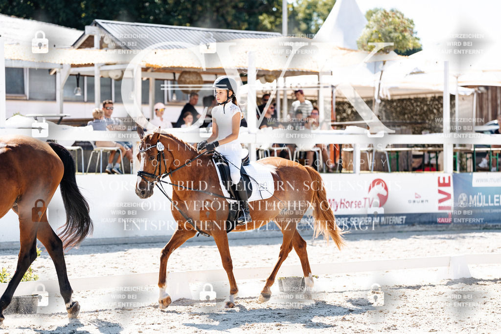 CK902516 | Turnierfotografie Pferdefotografie Trier Rheinland-Pfalz Pferdesport Reitsport Tierfotografie Sportfotografie Pferdevideo Pferdevideografie Equestrianvideography equestrianphotography  - Realisiert mit Pictrs.com