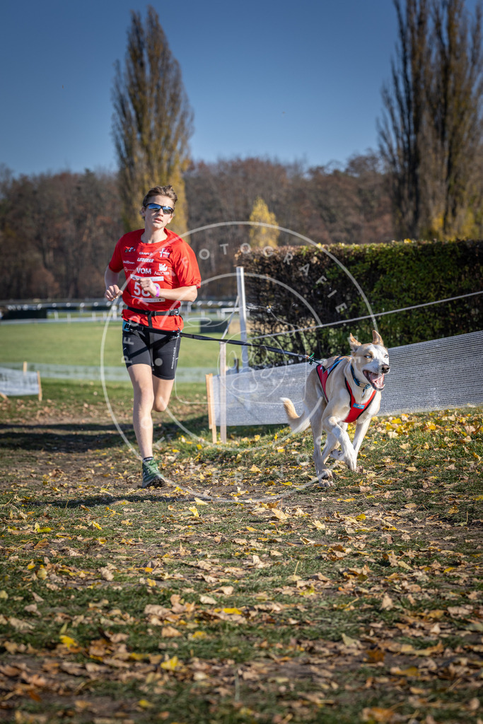 CaniXpix_DV3A9050 | Hundefotografie, Tierfotograf, Pfotenfotografie, Fotoshooting Hund, Hunde Portrait, Hundesport, Hundeportraits, Heideshooting, Hunde, Sportfotograf, Hundefotograf, Turnierhundsport, THS,  - Realisiert mit Pictrs.com