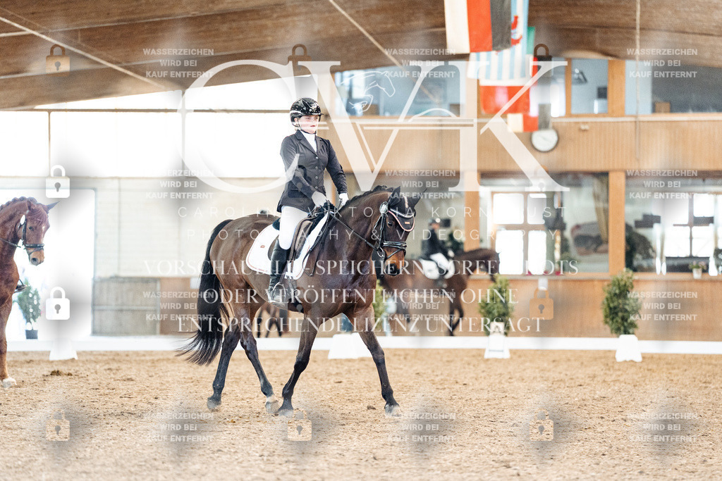 CK908329 | Turnierfotografie Pferdefotografie Trier Rheinland-Pfalz Pferdesport Reitsport Tierfotografie Sportfotografie Pferdevideo Pferdevideografie Equestrianvideography equestrianphotography  - Realisiert mit Pictrs.com