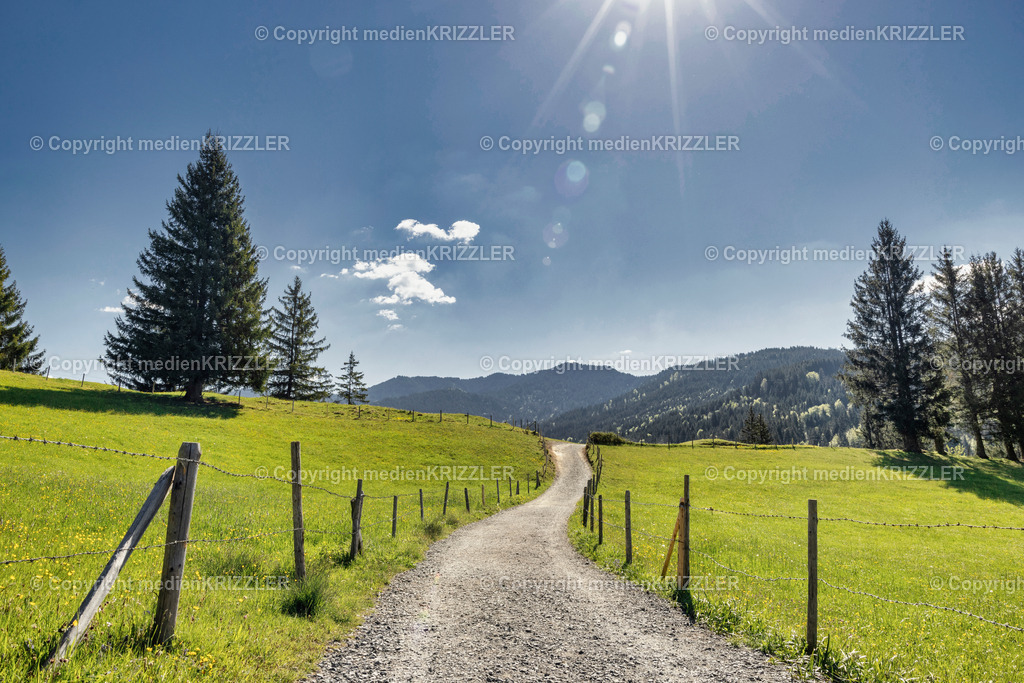 _J3A9006 | medienkrizzler - Realisiert mit Pictrs.com