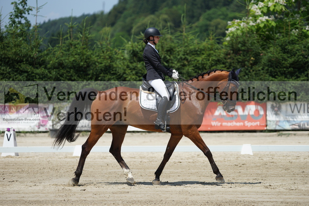DSC04986 | equestrian-live-com
