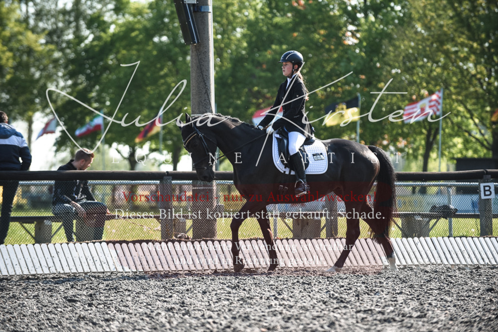 DSC_8334 | Pferde- und Turnierfotografie in Westsachsen. Pferdeportraits, Auftragszeichnungen und intuitive Kunst.