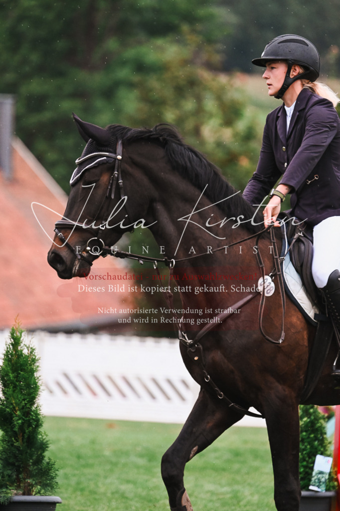 DSC_6286 | Pferde- und Turnierfotografie in Westsachsen. Pferdeportraits, Auftragszeichnungen und intuitive Kunst.