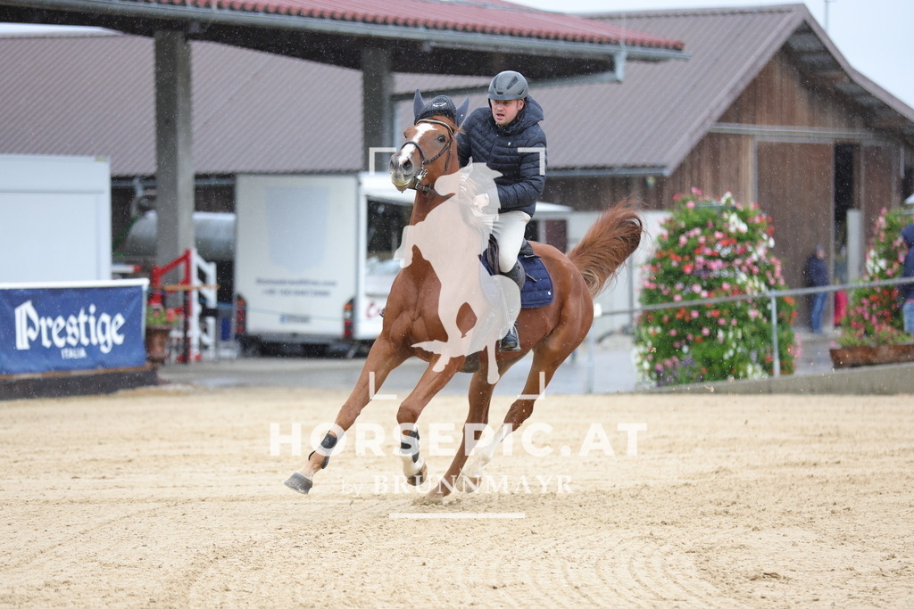 0P6A9197 | Willkommen bei Brunnmayr - Design & Fotografie – Ihrem Spezialisten für Reitturniere und Pferdeveranstaltungen in Oberösterreich, Salzburg und Bayern! Seit über 17 Jahren sind wir leidenschaftlich dabei.