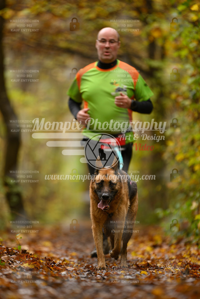 MompixPhotography_CD7S_DI_CCL-67 | mompixphotography