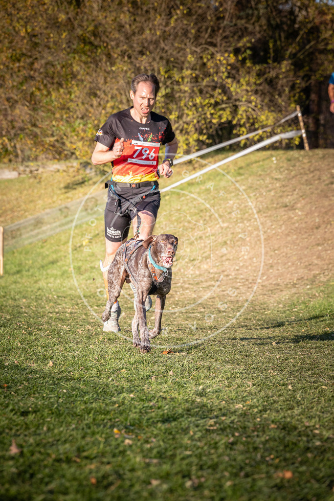 CaniXpix_0L8A0241 | Hundefotografie, Tierfotograf, Pfotenfotografie, Fotoshooting Hund, Hunde Portrait, Hundesport, Hundeportraits, Heideshooting, Hunde, Sportfotograf, Hundefotograf, Turnierhundsport, THS,  - Realisiert mit Pictrs.com