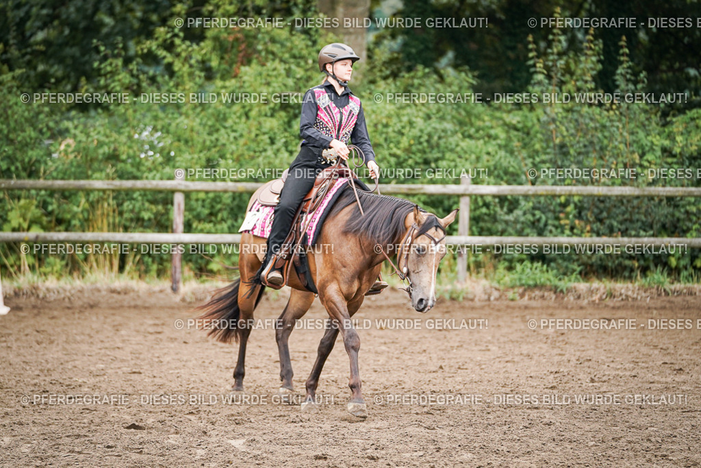 DSC02484 | Pferdegrafie