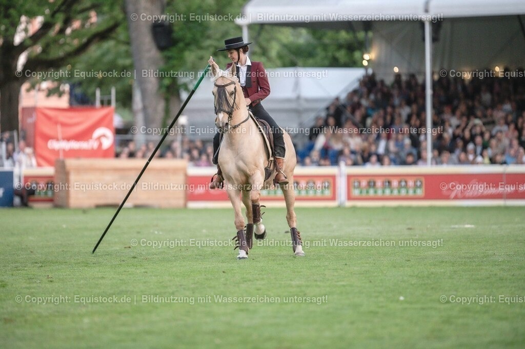 20230526_Pferdenacht_0702 | equistock