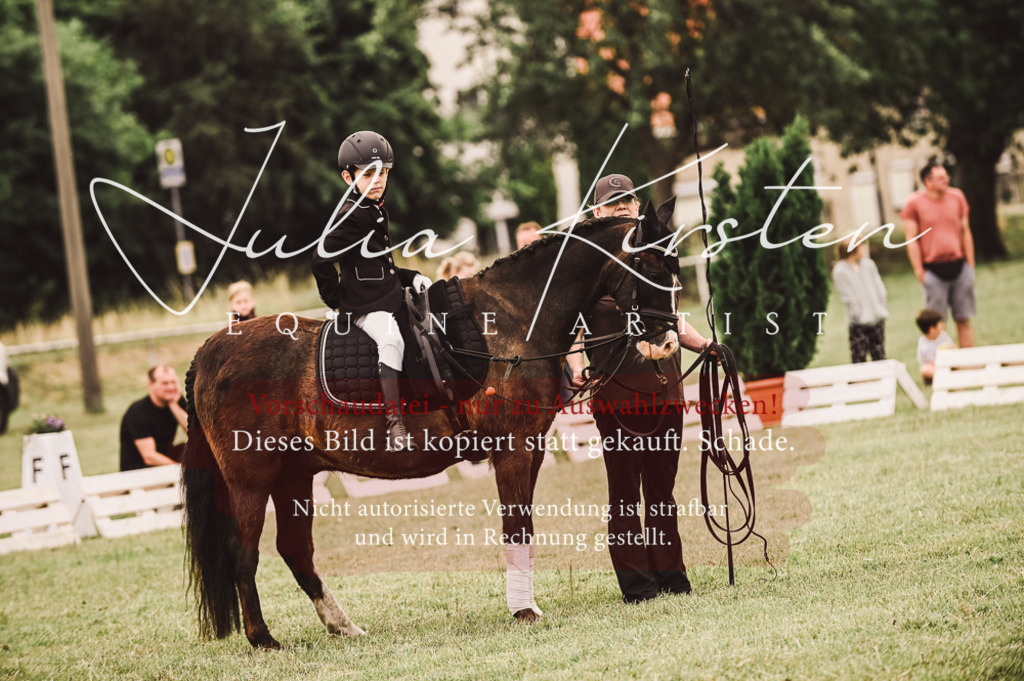 DSC_5284 | Pferde- und Turnierfotografie in Westsachsen. Pferdeportraits, Auftragszeichnungen und intuitive Kunst.