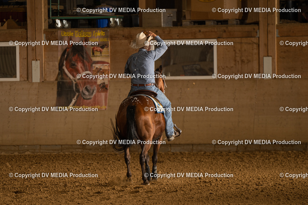 LAU00099 | dv-media-shop - Realisiert mit Pictrs.com