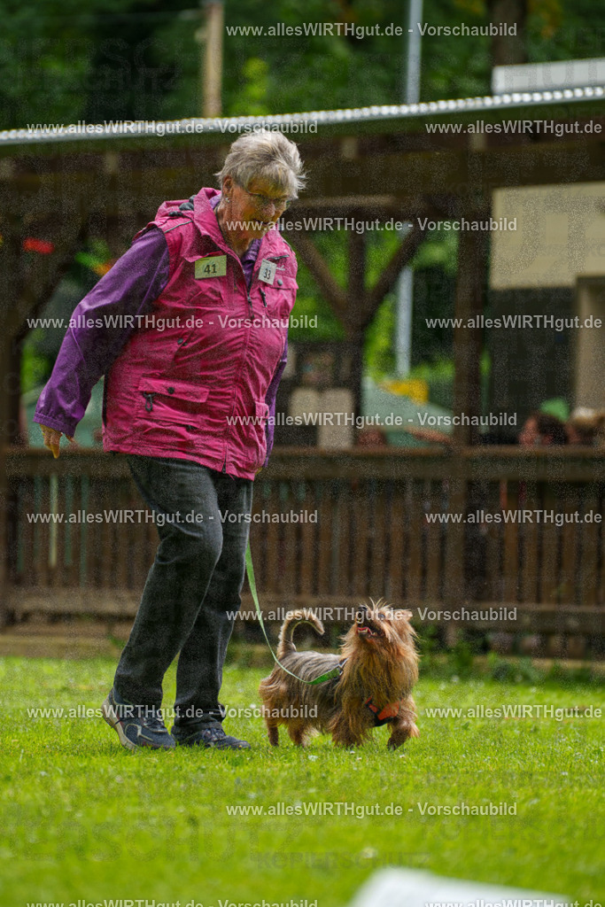 @allesWIRTHgut_Tierfotografie - www.allesWIRTHgut.de - 122409-7R508958 | Professionelle Tierfotografie in Mönchengladbach von Daniel Wirth (allesWIRTHgut). Liebevolle & natürliche Bilder von Hunden & Katzen für unvergessliche Erinnerungen.