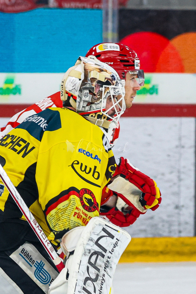 EHCB vs SCB 20260312_wb-4347 | Sportbilder, Sportfotograf, Hochzeits- und Eventfotografin, Flugshows, Portraits und Tiershooting, Aviation, Downhill, Nationalleague, Swissleague, International