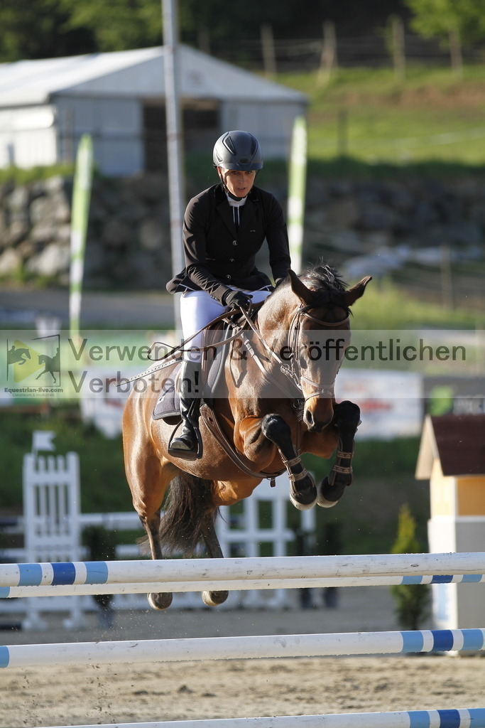 _MG_8509 | equestrian-live-com