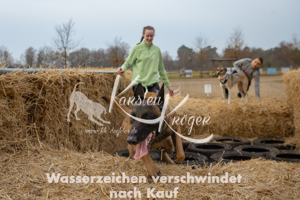 0836_ZZ93562 | kk-dogfotos