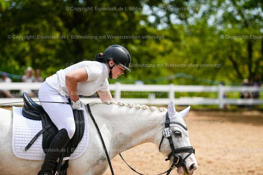 20230715_05_Dressurprüfung Kl.A++_0296 | equistock