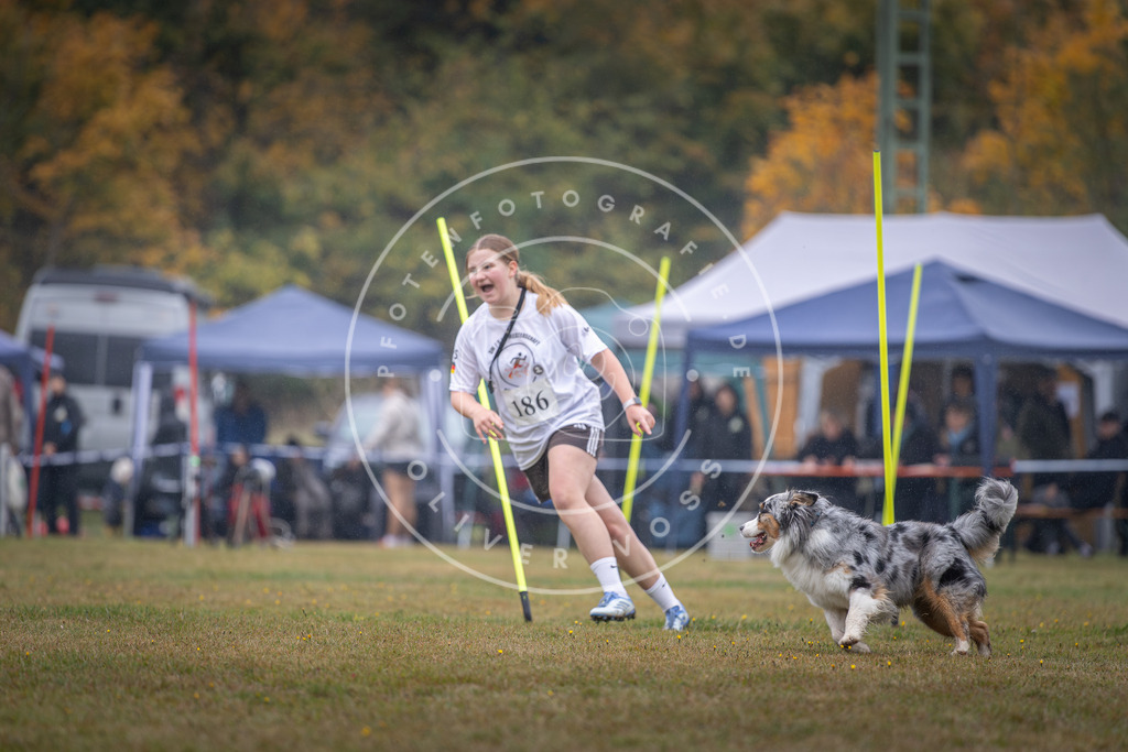 Pfotenfotografie_DV3A0115 | Hundefotografie, Tierfotograf, Pfotenfotografie, Fotoshooting Hund, Hunde Portrait, Hundesport, Hundeportraits, Heideshooting, Hunde, Sportfotograf, Hundefotograf, Turnierhundsport, THS,  - Realisiert mit Pictrs.com