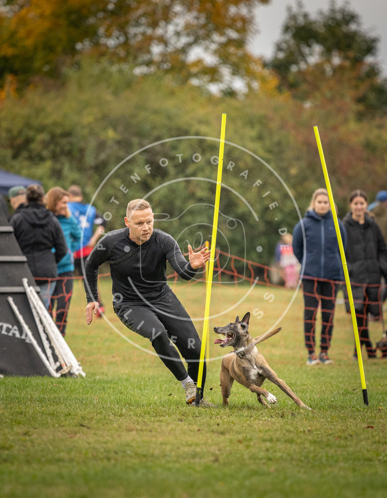 Pfotenfotografie_DV3A7276 | Hundefotografie, Tierfotograf, Pfotenfotografie, Fotoshooting Hund, Hunde Portrait, Hundesport, Hundeportraits, Heideshooting, Hunde, Sportfotograf, Hundefotograf, Turnierhundsport, THS,  - Realisiert mit Pictrs.com