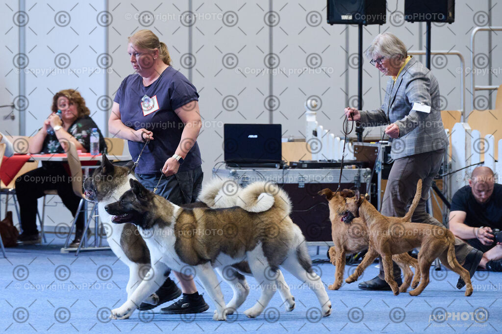 202406_ÖKV-IHA-Tulln24_DSC_4899 | proPHOTO - Realisiert mit Pictrs.com