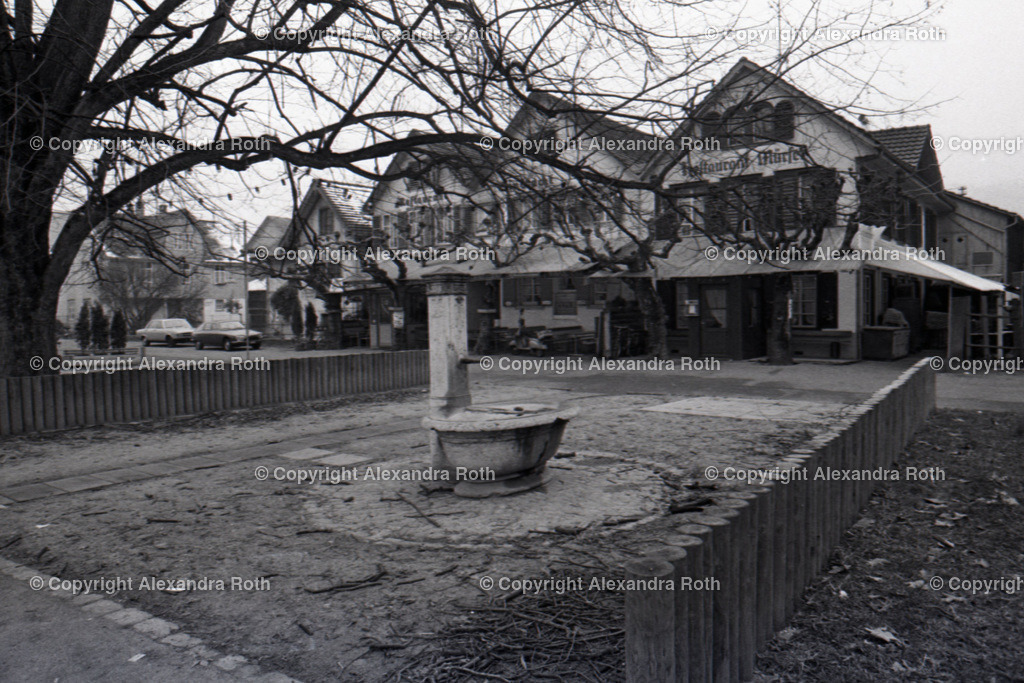 Aarau_0424 | onlineshop - Realisiert mit Pictrs.com