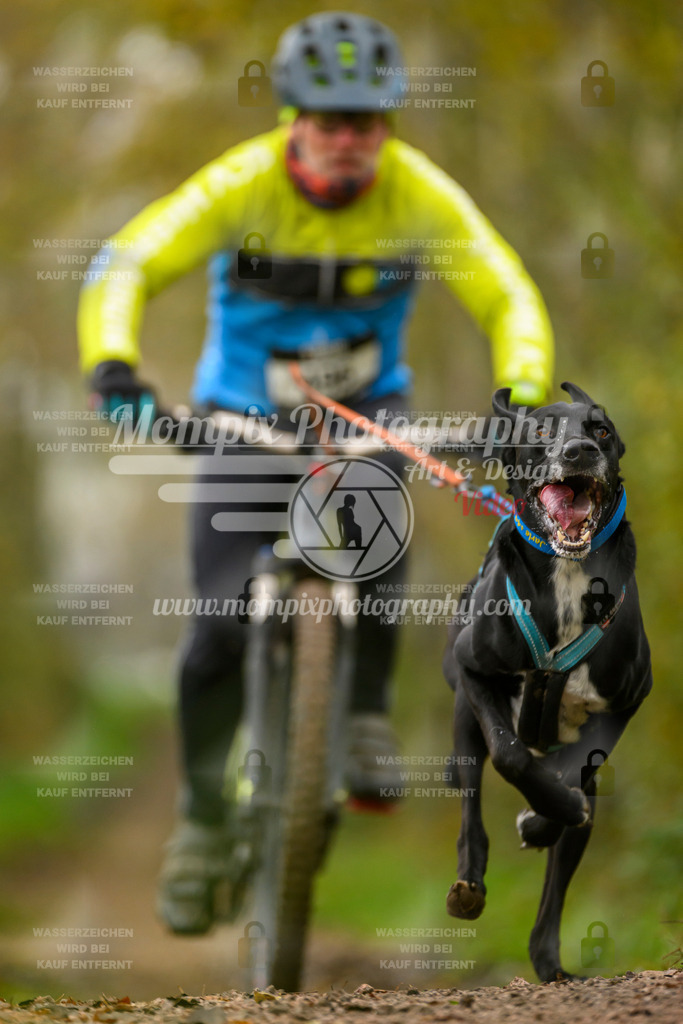MompixPhotography_20TSB_E6_Bike-112 | PayLife