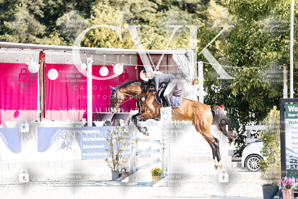 CK902017 | Turnierfotografie Pferdefotografie Trier Rheinland-Pfalz Pferdesport Reitsport Tierfotografie Sportfotografie Pferdevideo Pferdevideografie Equestrianvideography equestrianphotography  - Realisiert mit Pictrs.com