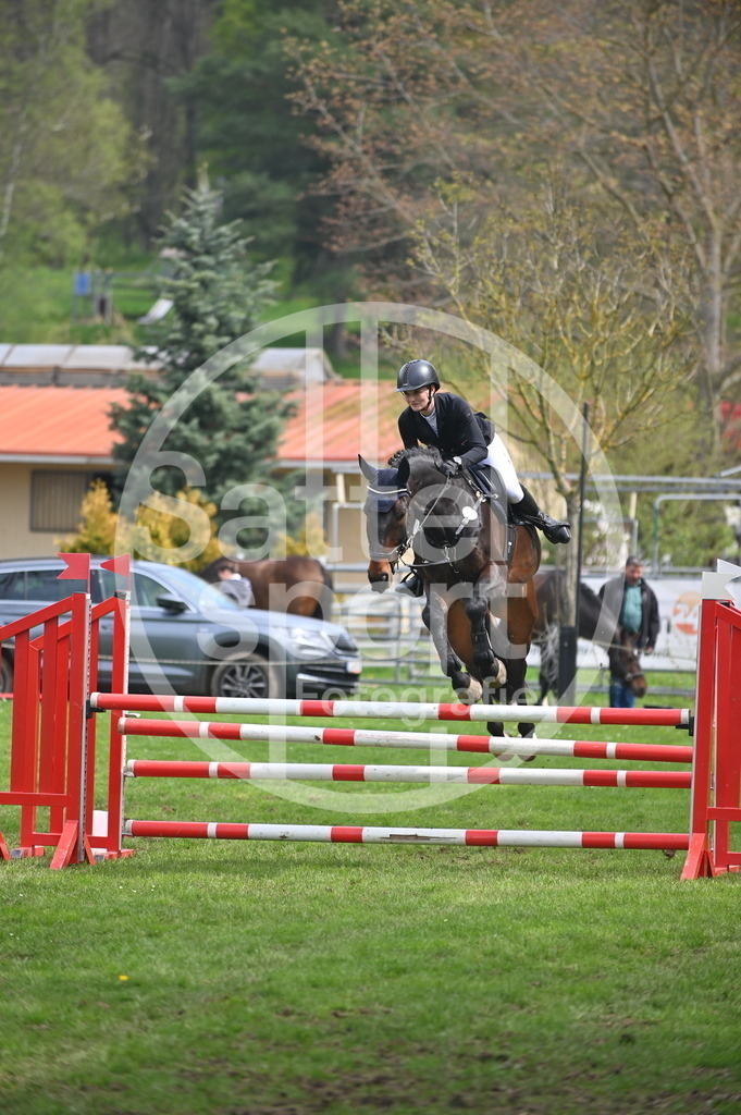 DSC_1710 | sattelsport - Realisiert mit Pictrs.com