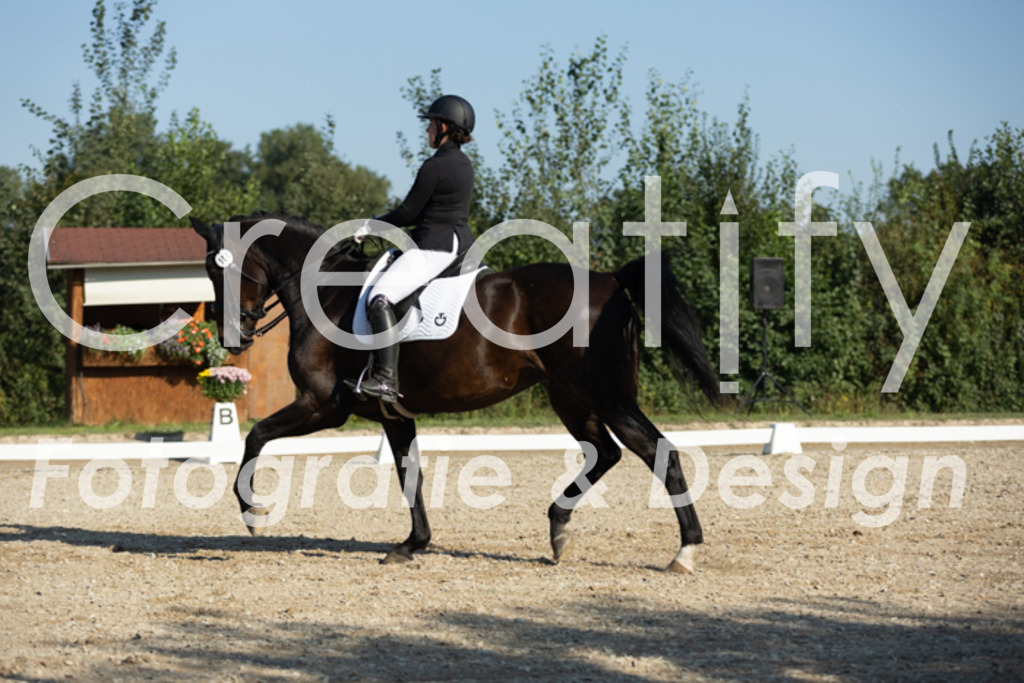 IMG_0822 | Creatify Fotografie