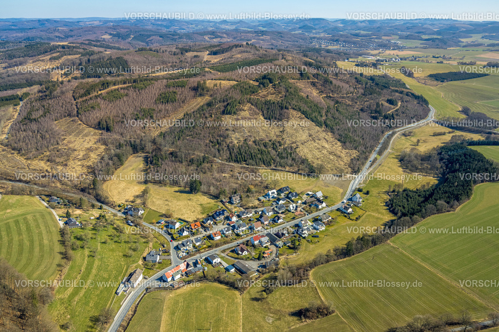 Balve250304267 | Luftbild, Wohngebiet Ortsansicht Ortsteil Dickenbruch, Waldgebiet mit Waldschäden, Balve, Sauerland, Nordrhein-Westfalen, Deutschland