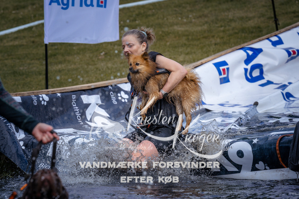 _ZZ909150910 | kk-dogfotos