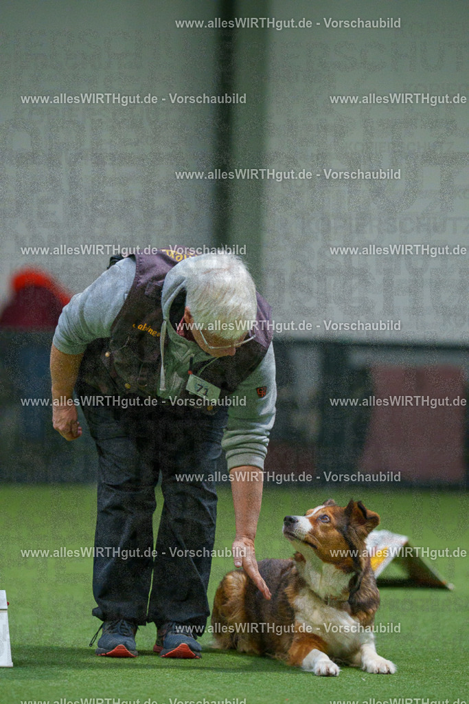 7R504077 | Professionelle Tierfotografie in Mönchengladbach von Daniel Wirth (allesWIRTHgut). Liebevolle & natürliche Bilder von Hunden & Katzen für unvergessliche Erinnerungen.