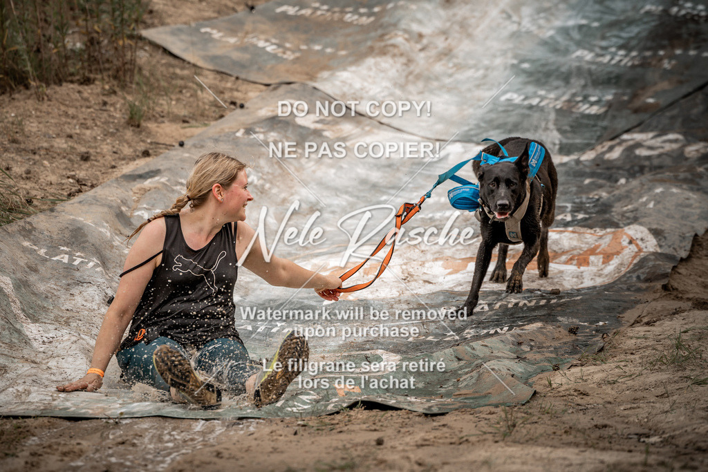 nelerasche_sa0800-1000_132 | nelerasche