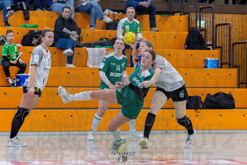 Jugendbundesliga wJA, Pokalrunde, HSG Kleenheim/Langgöns - Frisch Auf Göppingen | Jugendbundesliga wJA, Pokalrunde, HSG Kleenheim/Langgöns - Frisch Auf Göppingen am 28.02.2026 in Oberkleen (Weidig-Halle)Photo © 2026 - Jörg Heinrich - Realisiert mit Pictrs.com