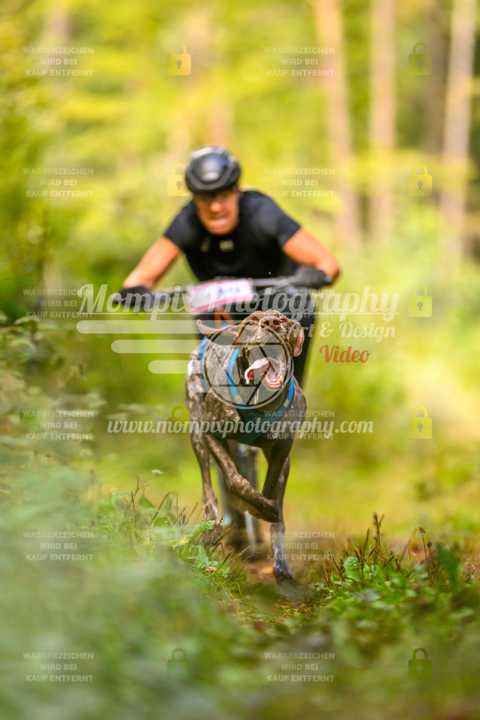 MompixPhotography_Yens2025_B2-29 | PayLife