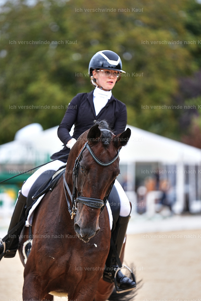 04_1-022-Dressur M__ -Marixx-2769 | working equitationturnier fotograf videograf stoibphotography marixx film working equitation deutschland reitsport turnierfotografie eventfotografie equestrian events