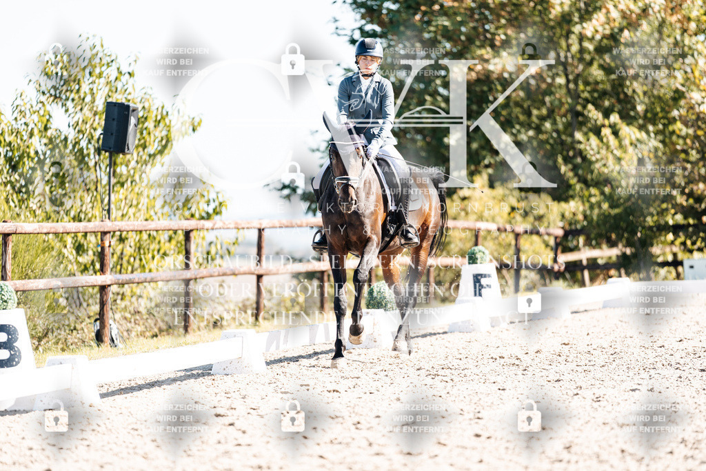 CK908810 | Turnierfotografie Pferdefotografie Trier Rheinland-Pfalz Pferdesport Reitsport Tierfotografie Sportfotografie Pferdevideo Pferdevideografie Equestrianvideography equestrianphotography  - Realisiert mit Pictrs.com