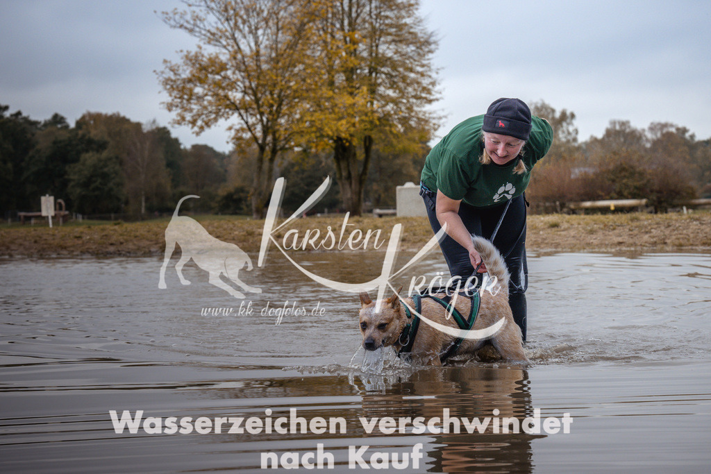 1331_ZZ94225 | kk-dogfotos